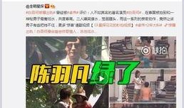 大叔结婚爆料视频大全集,甜蜜回忆与欢乐时光大盘点
